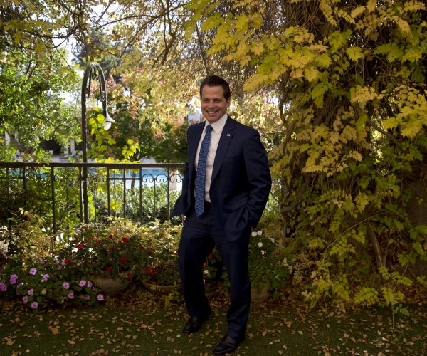 Scaramucci Might Return to Politics