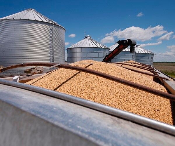 soybeans sit in a truck bed