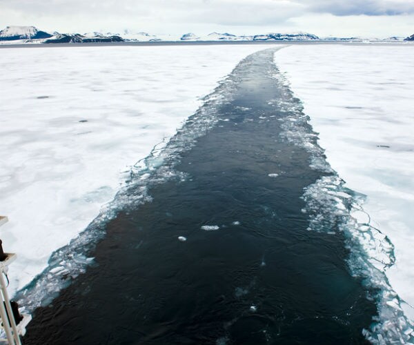 World's Biggest Shipping Firm to Test Russian Arctic Route