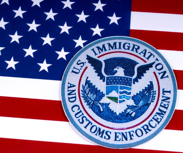 immigration and customs enforcement insignia with us flag  