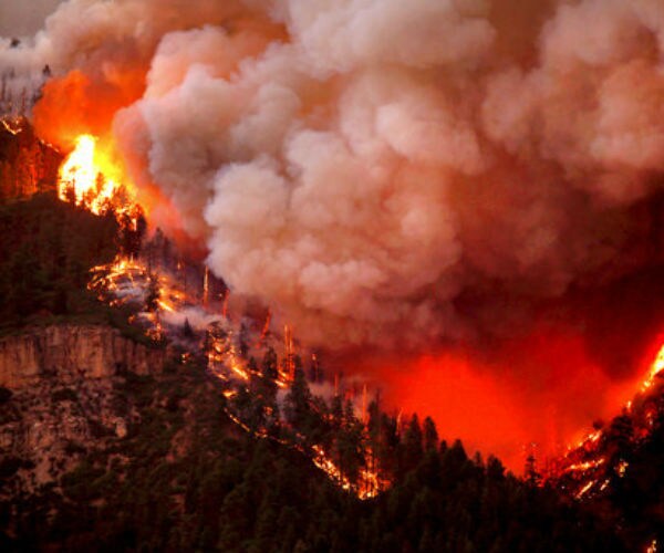 Extreme Fire Danger Forces Another National Forest to Close