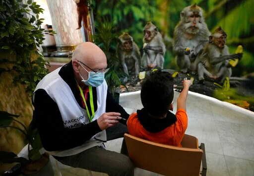 Monkey Business: Antwerp Zoo Put Kids at Ease for Virus Jab