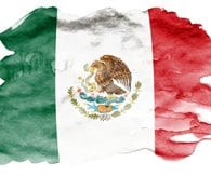Mexican Political Party Calls for US Intervention