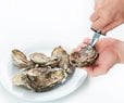 Salmonella Outbreak Tied to Raw Oysters