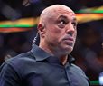 Joe Rogan Splits With Trump on ICE Enforcement Tactics