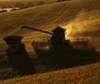 UN: Iran War Could Drive Up Global Food Prices