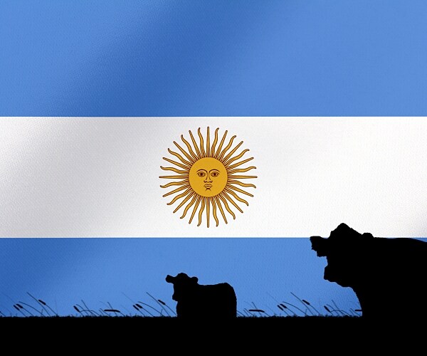 Sen. Fischer: ‘Deep Concerns’ Over Trump Plan to Import Argentine Beef