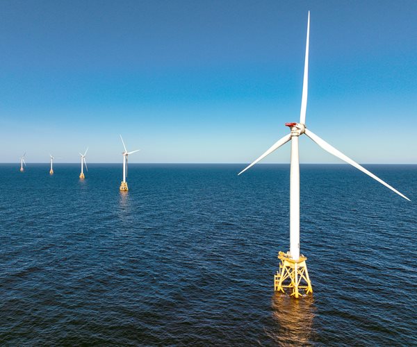 Environmentalist to Newsmax: ‘Ecstatic’ Over Trump Halting Wind Turbines