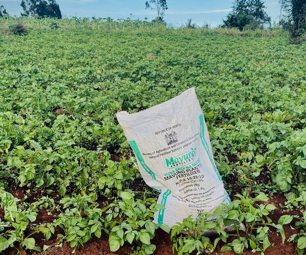 War in Iran Sparks Global Fertilizer Shortage, Threatens Food Prices