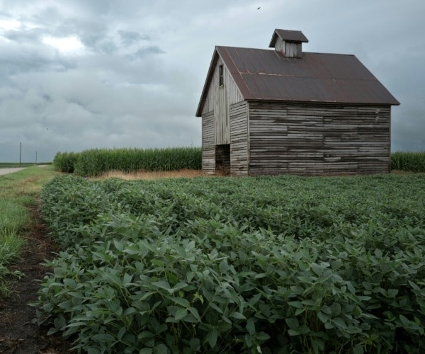 Trump Admin Reapproves Twice-Banned Pesticide