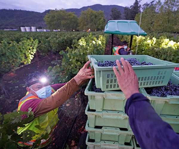 Wholesale Inflation Rises Hotter-Than-Expected 0.5%