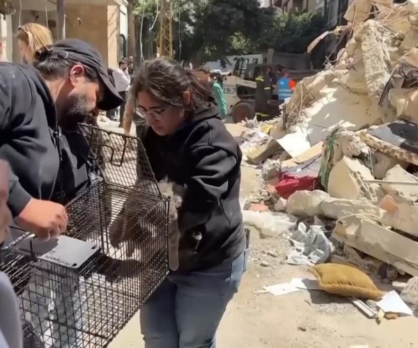 US, Iran Prepare for Ceasefire Talks as Netanyahu Authorizes Negotiations With Lebanon