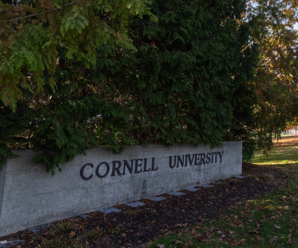 Lawsuit Claims Cornell Used 'Diversity Axis' in Hiring