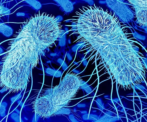 E. Coli Concerns Lead to Ground Beef Recall in 6 States