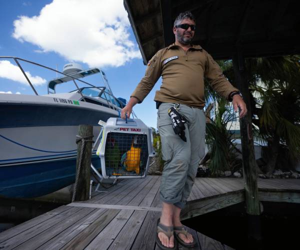 Veteran's Nonprofit Pulls Off Daring Global Rescues