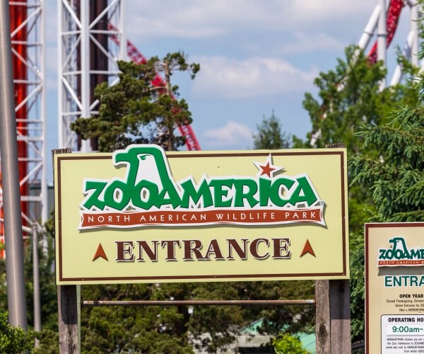 Toddler Injured by Wolf After Crawling Under Pennsylvania Zoo's Exterior Metal Fence