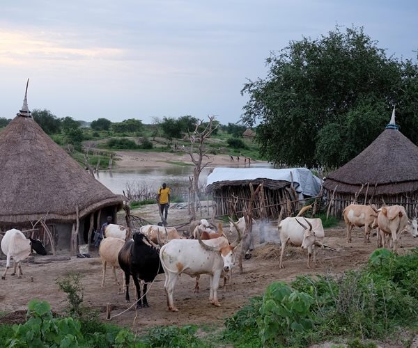 US Designates Sudanese Muslim Brotherhood a Terror Group