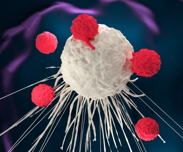 New Cancer Immunotherapy Killed Whole Tumors
