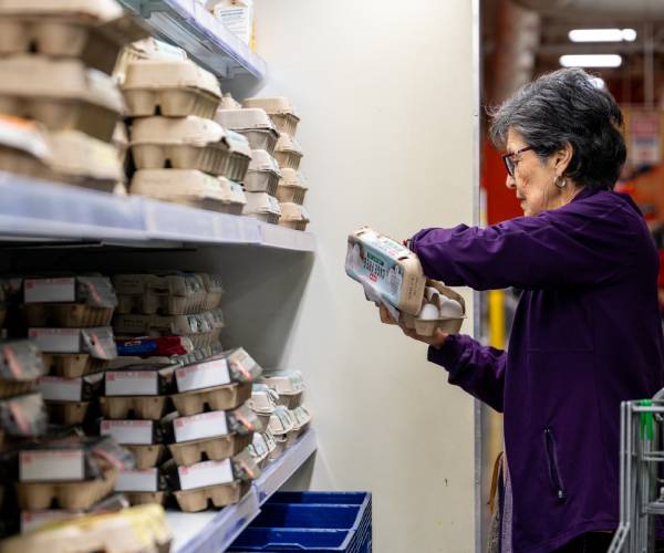 Egg Prices Skyrocket as US Senators Want More Focus on Bird Flu