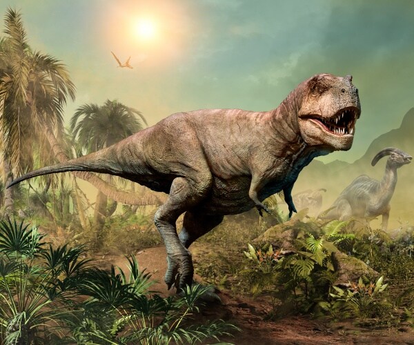 Study: Tyrannosaurus Rex Did Not Reach Full Size Until Age 40