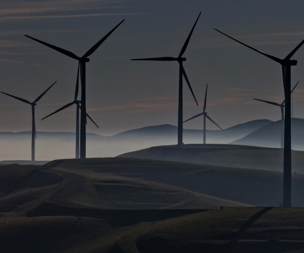 Calif. Probes Offshore Wind Deal Canceled by White House