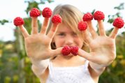 raspberries fruits diet health