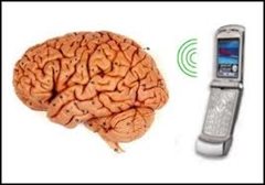 Cellphone, San Francisco, radiation, energy emissions