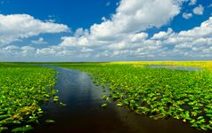 florida national parks everglades